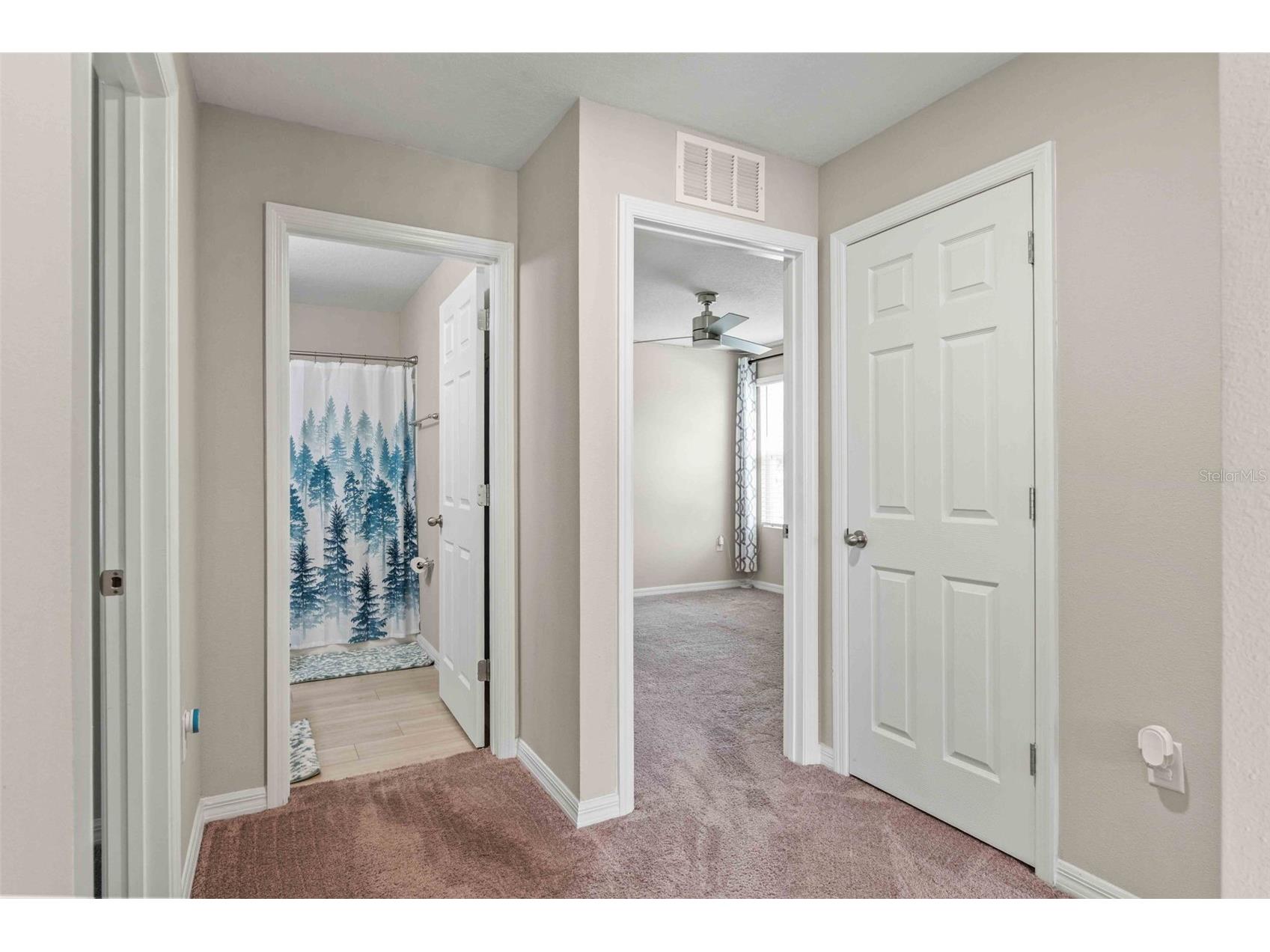 7512 Wallflower Trail Wesley Chapel FL 33545 TB8491806 image34