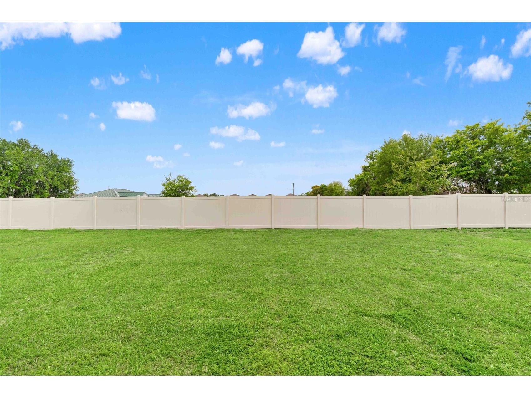 7512 Wallflower Trail Wesley Chapel FL 33545 TB8491806 image48