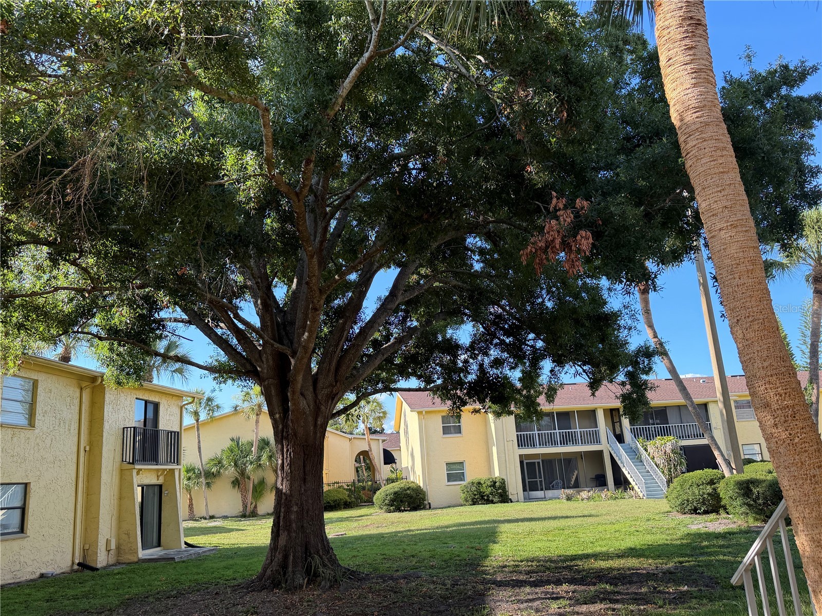 7513 Abonado Rd #7513 Tampa FL 33615 TB8525715 image9