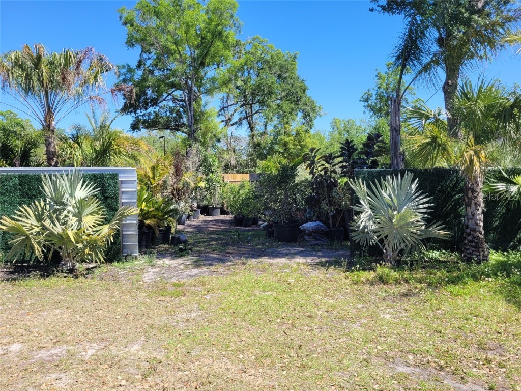 7513 Edgewater Drive Orlando FL 32810 O6304340 image5