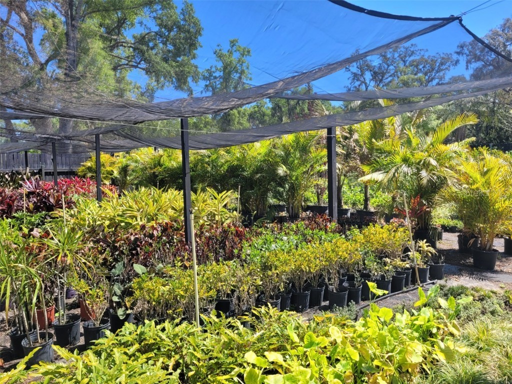 7513 Edgewater Drive Orlando FL 32810 O6304340 image6