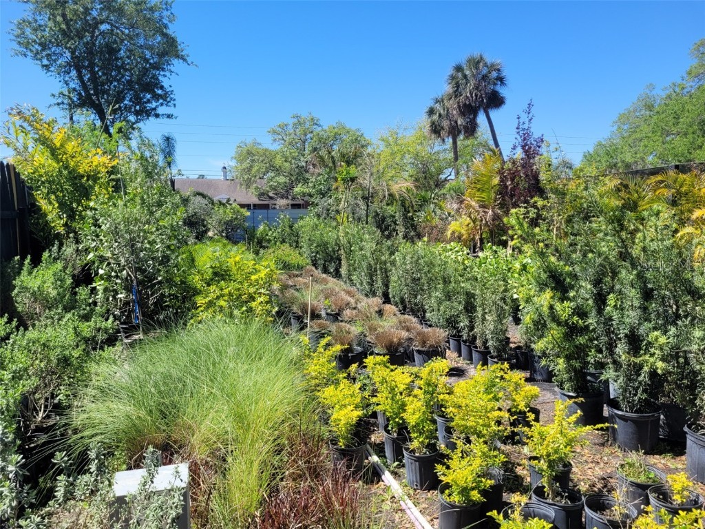 7513 Edgewater Drive Orlando FL 32810 O6304340 image7