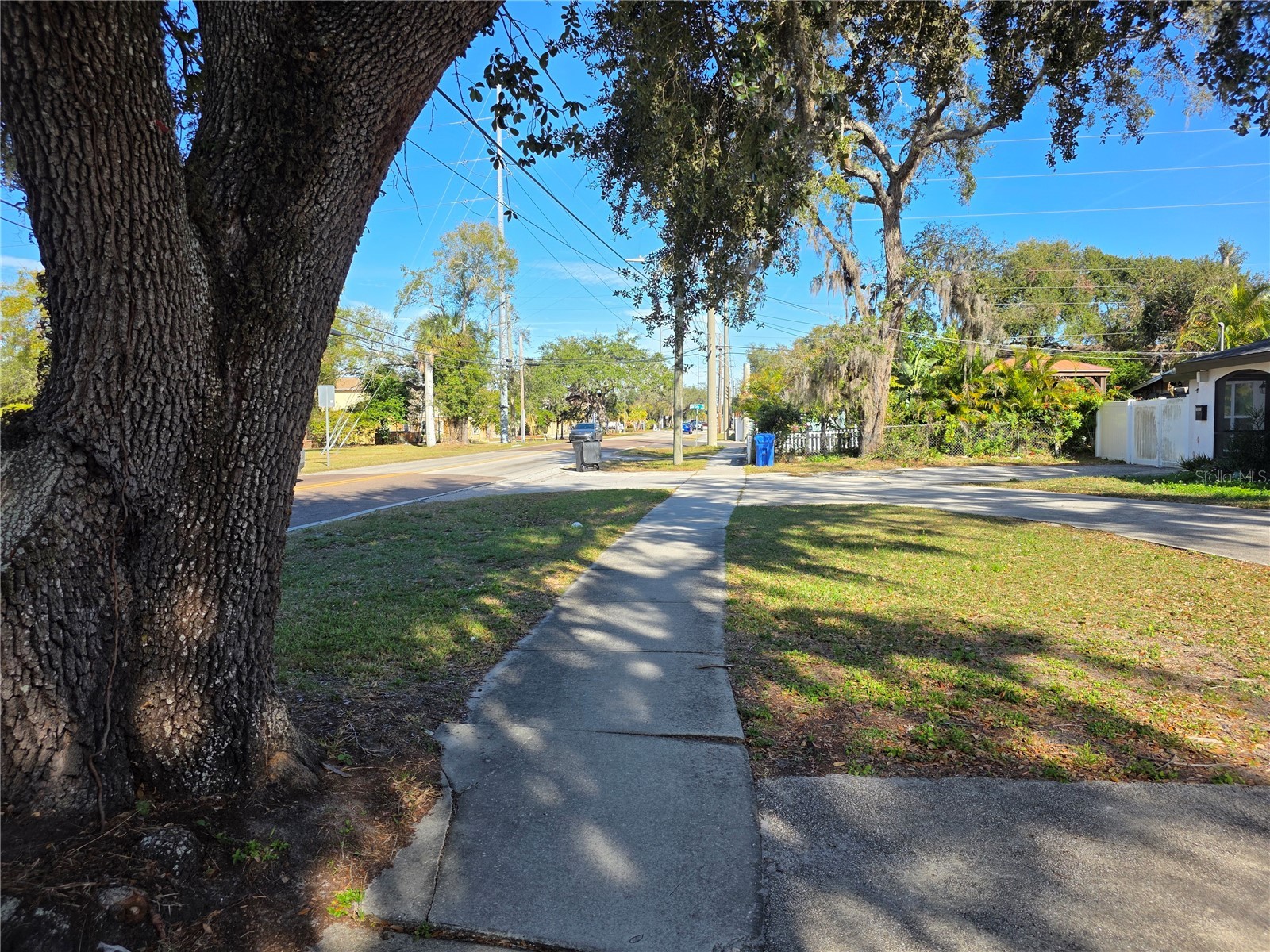 7513 N Himes Avenue Tampa FL 33614 TB8469179 image3