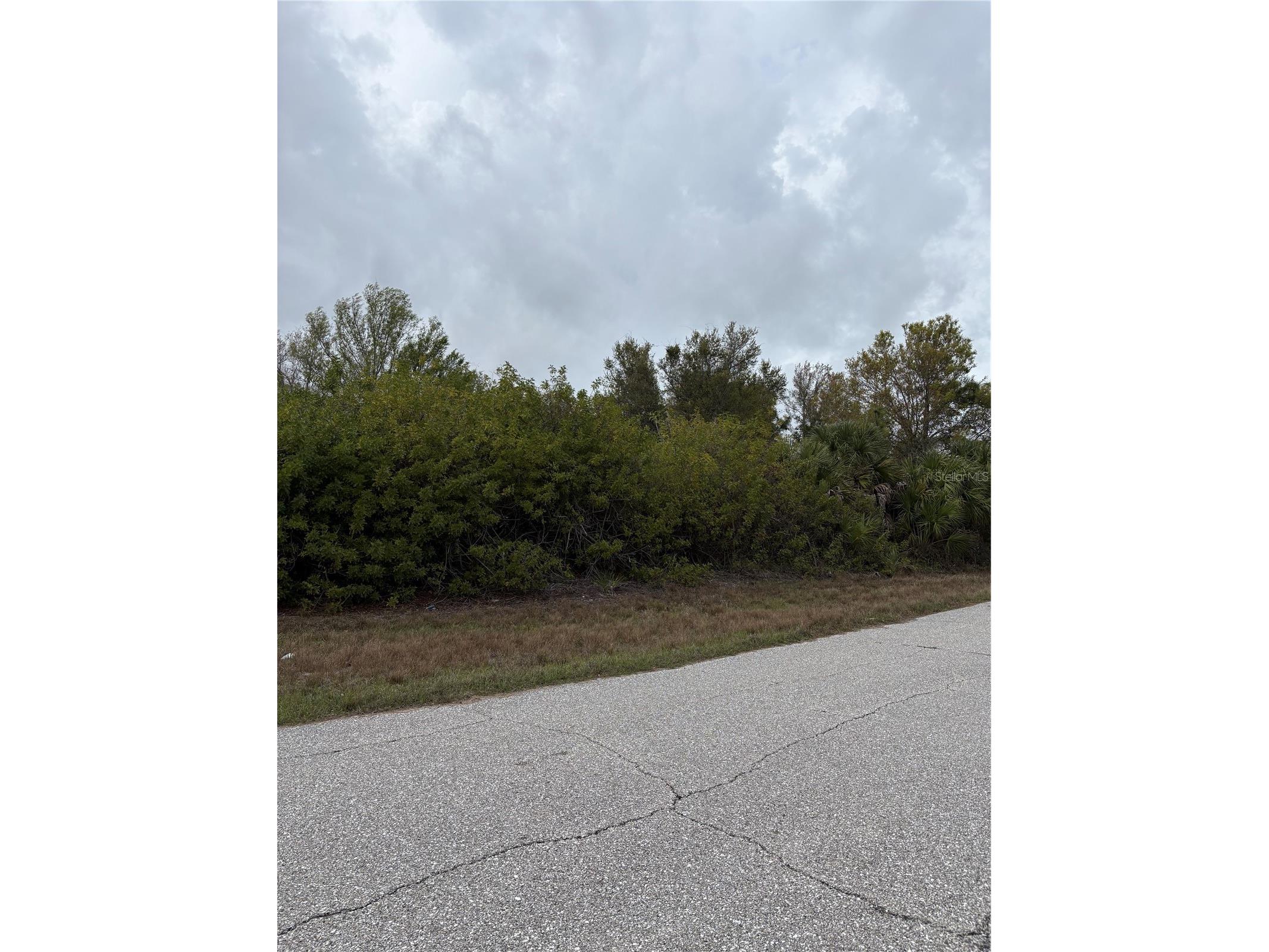 7513 Treadway Road Port Charlotte FL 33981 C7523194 image4