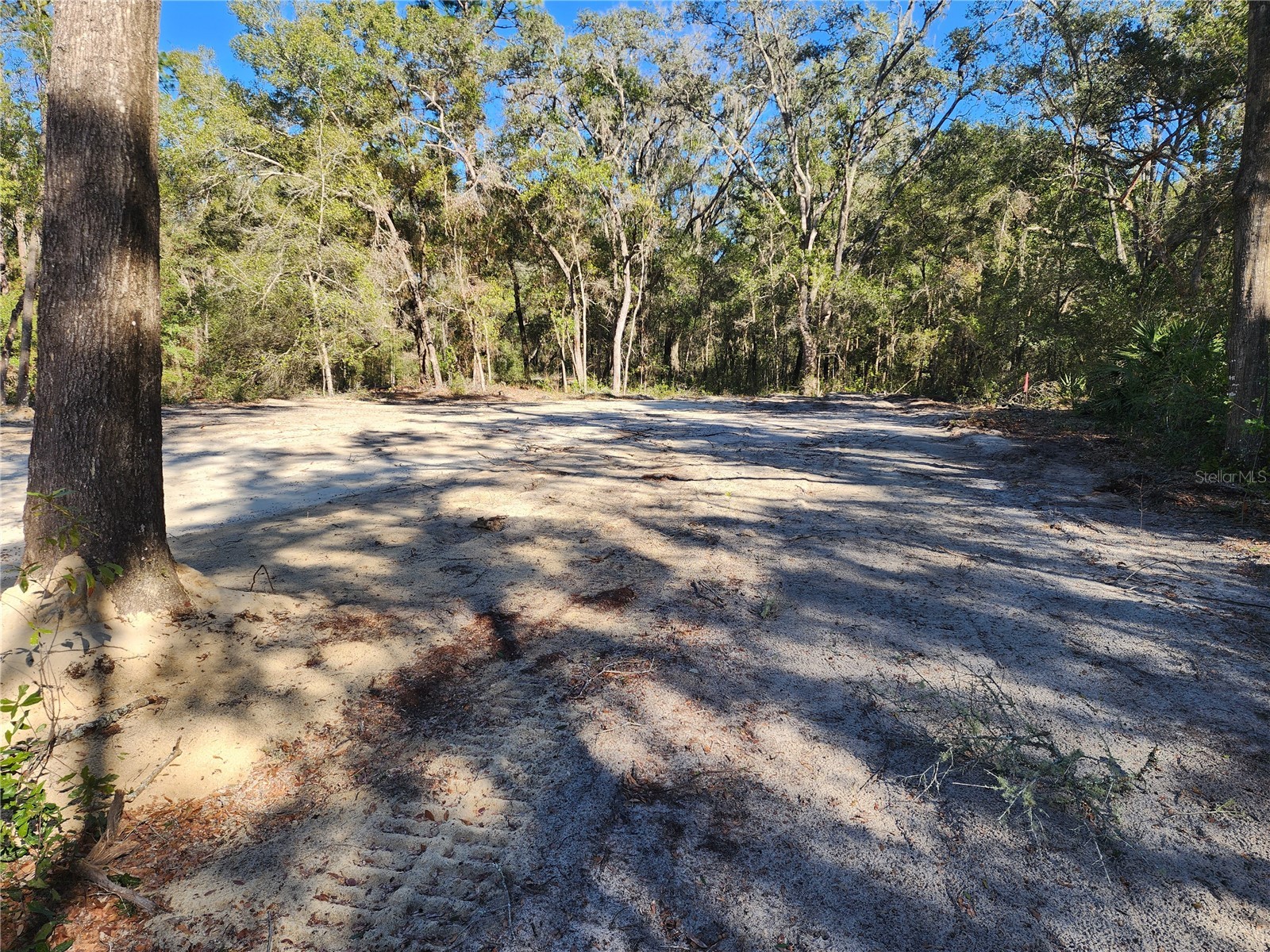 7513 W Dunklin Street Dunnellon FL 34433 OM718231 image28