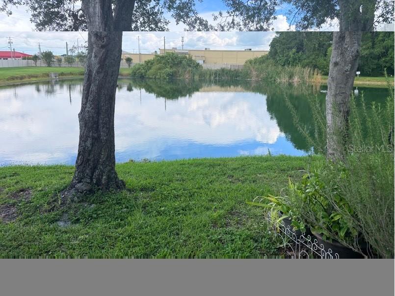 7514 Colonial Court Tampa FL 33615 TB8518799 image11