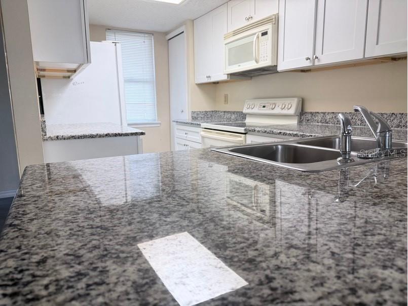 7514 Colonial Court Tampa FL 33615 TB8518799 image4