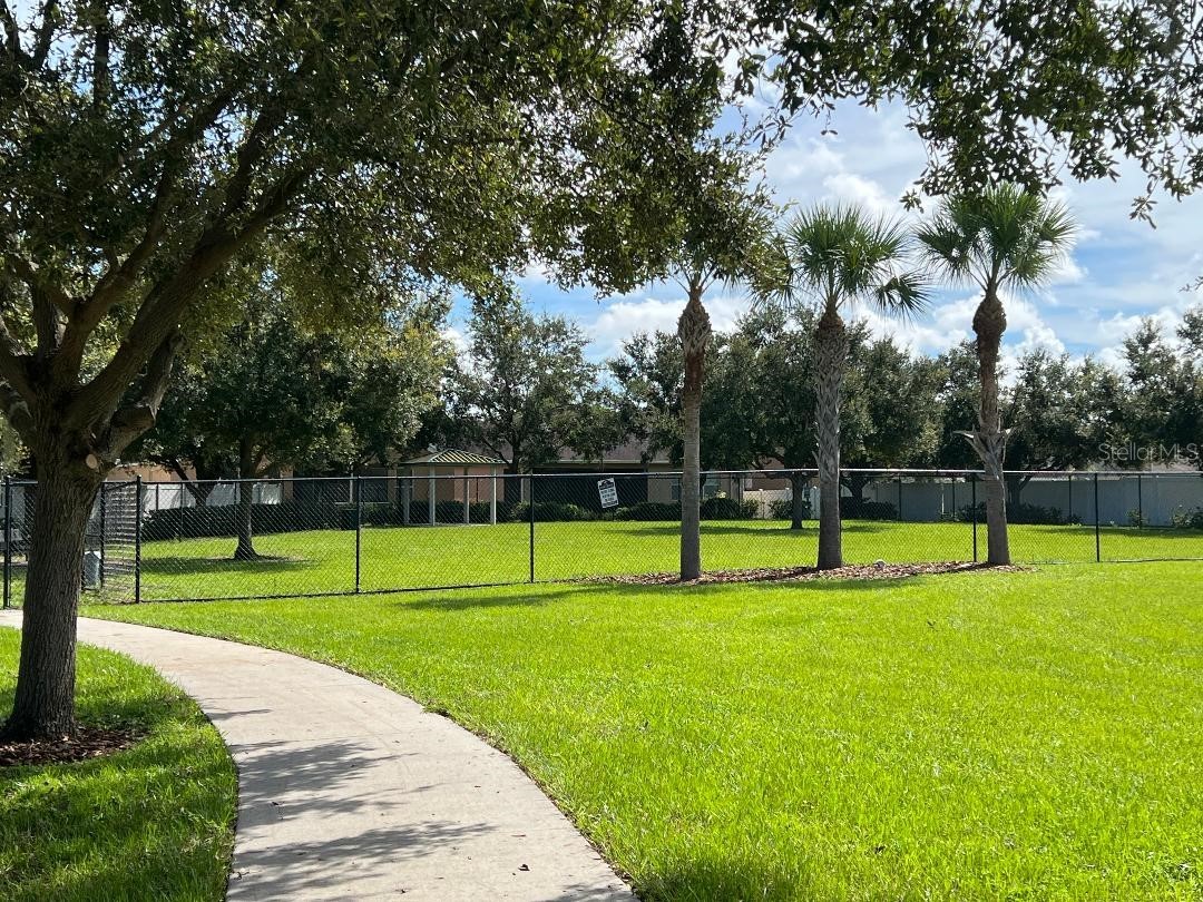 7514 Forest Mere Drive Riverview FL 33578 TB8491922 image38