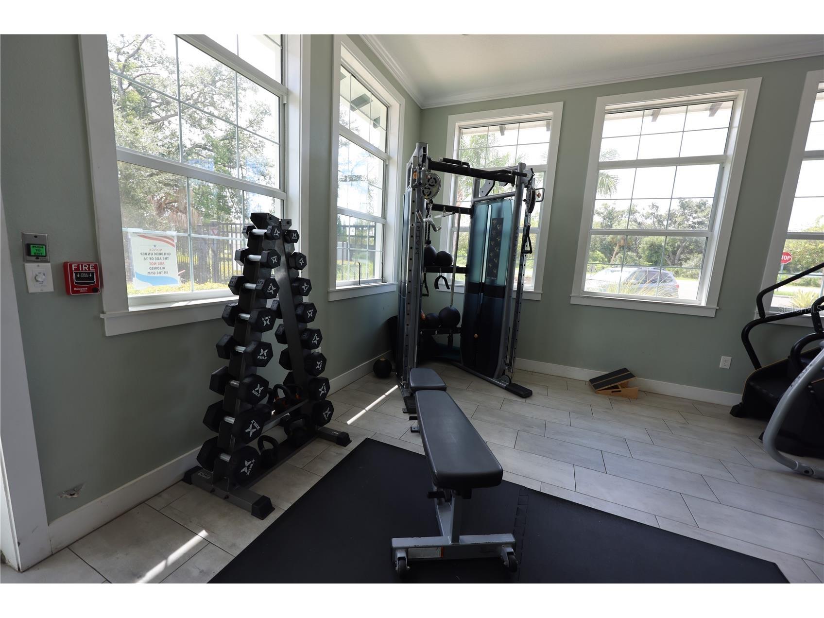 7514 Forest Mere Drive Riverview FL 33578 TB8491922 image39
