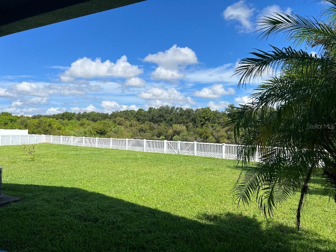 7514 Forest Mere Drive Riverview FL 33578 TB8517157 image3