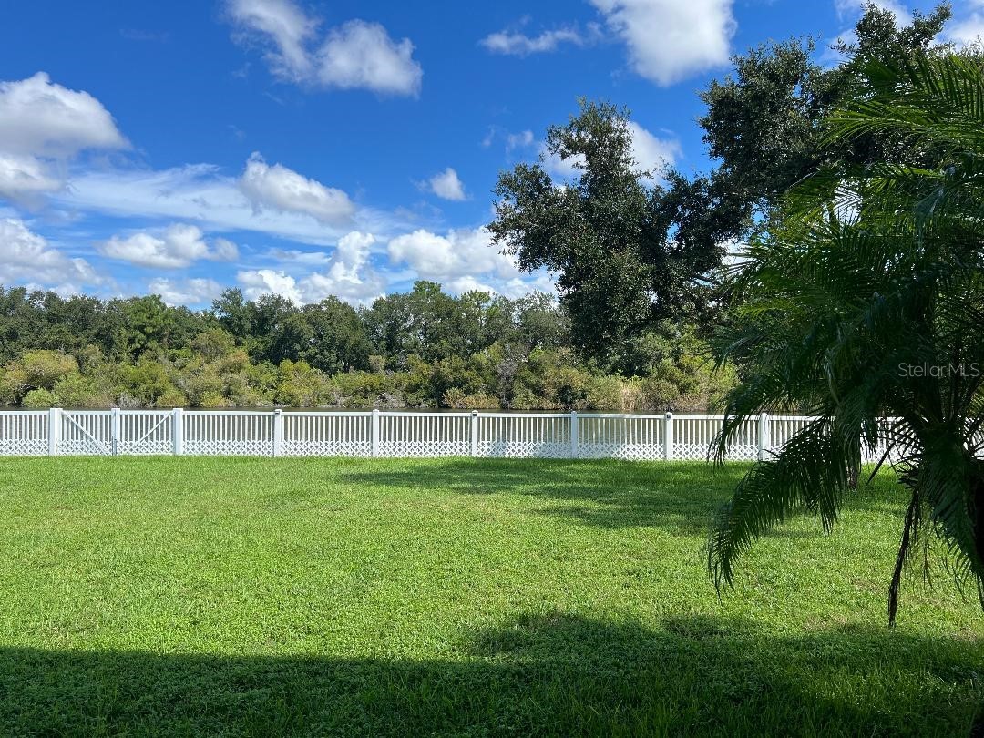 7514 Forest Mere Drive Riverview FL 33578 TB8517157 image39