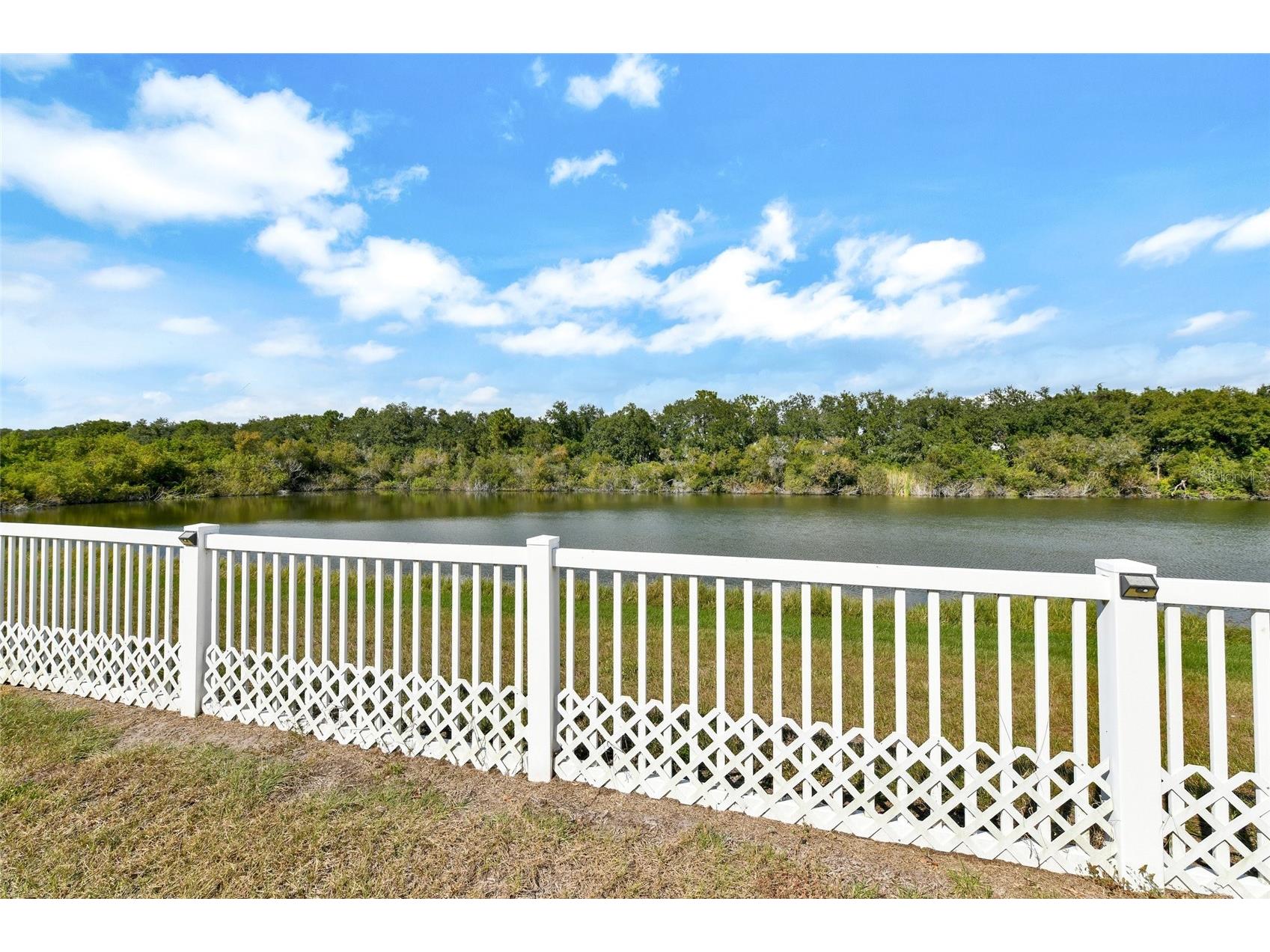 7514 Forest Mere Drive Riverview FL 33578 TB8517157 image40