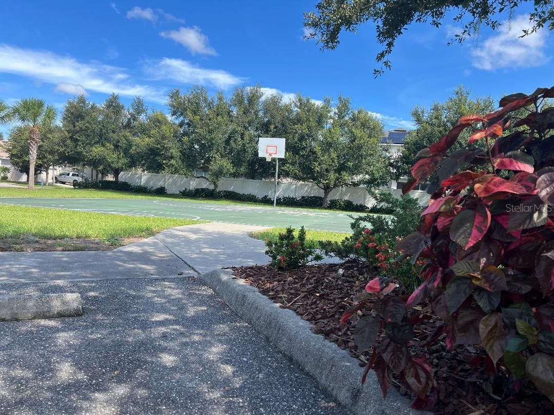 7514 Forest Mere Drive Riverview FL 33578 TB8517157 image49