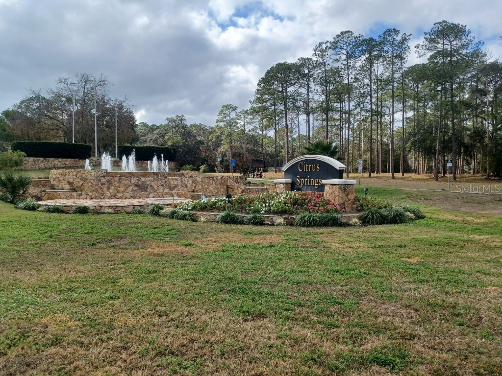 7514 N Voyager Drive Citrus Springs FL 34433 OM716102 image12