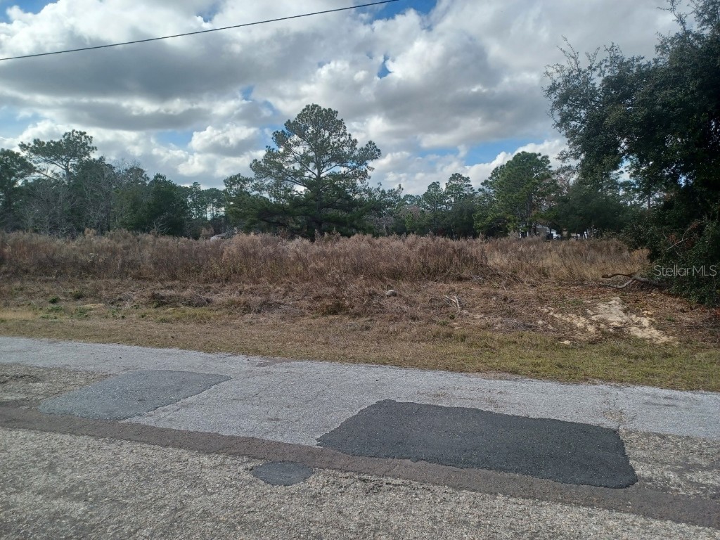 7514 N Voyager Drive Citrus Springs FL 34433 OM716102 image3