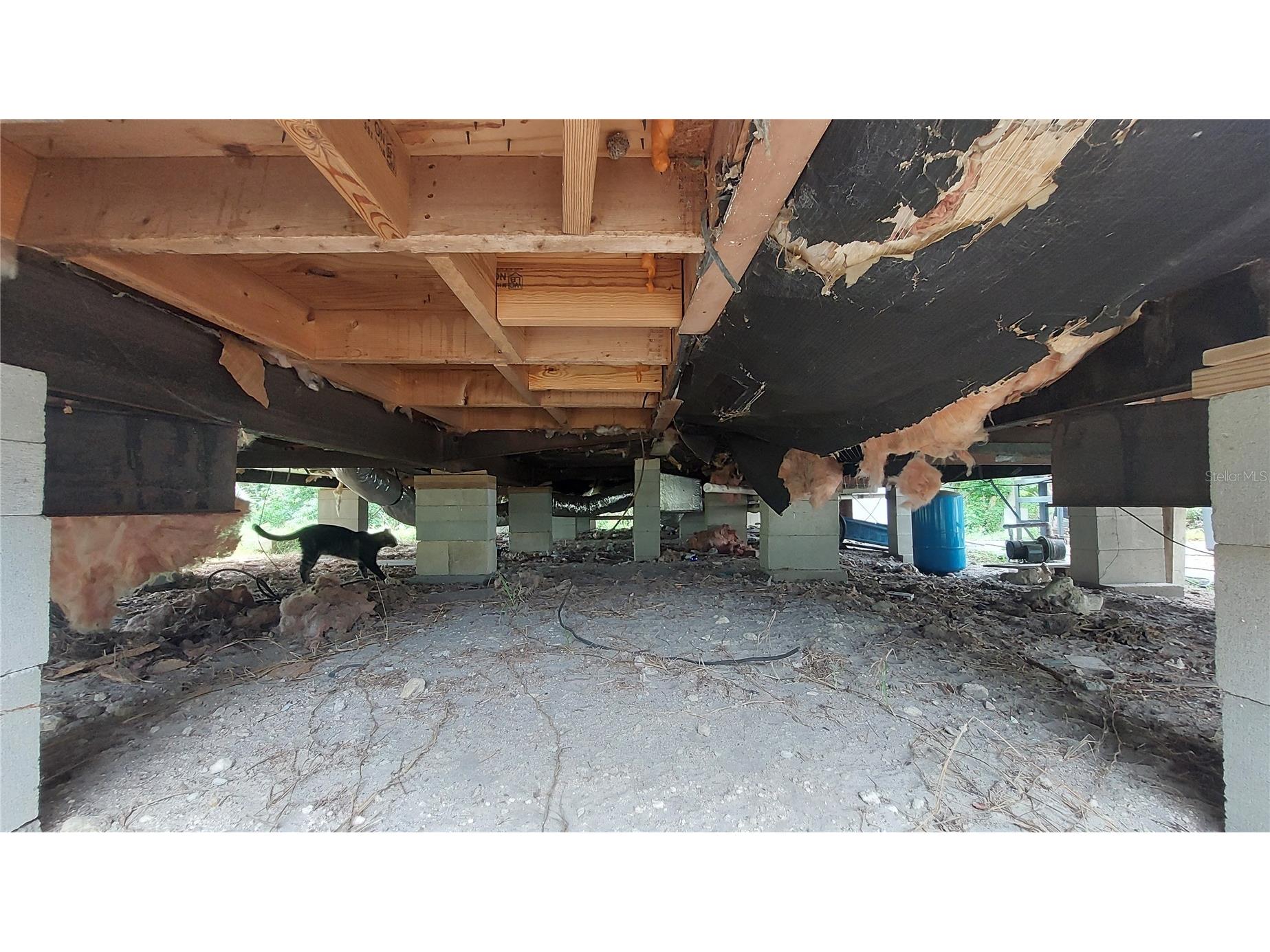 7515 Maryland Avenue Hudson FL 34667 TB8495228 image18