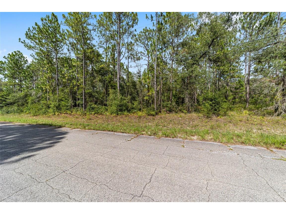 7515 N Windbrook Drive Citrus Springs FL 34433 T3535431 image1