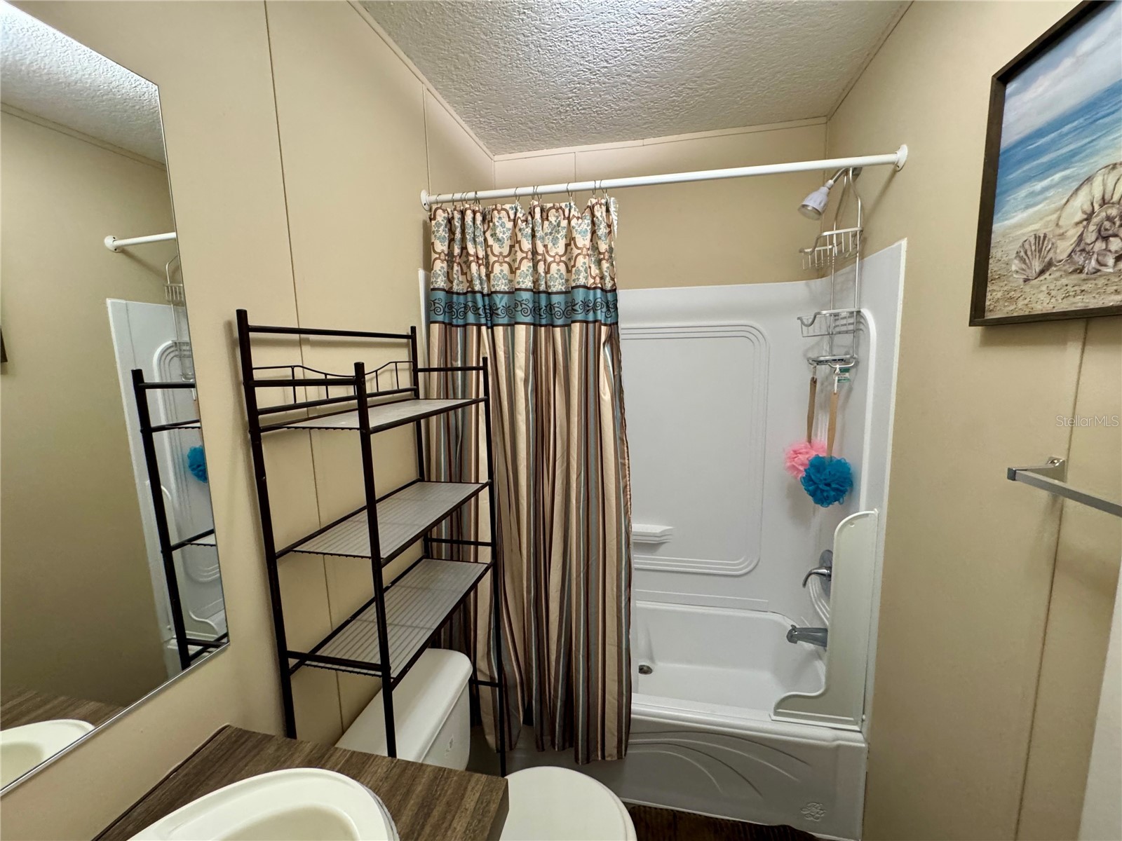 7515 Ranchero Street Orlando FL 32822 O6416027 image19