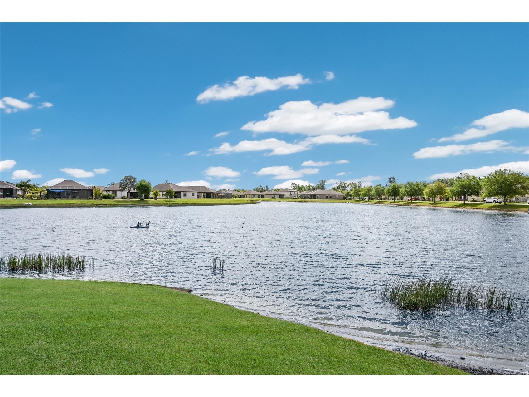 7516 38th Dr E Palmetto FL 34221 A4688508 image33