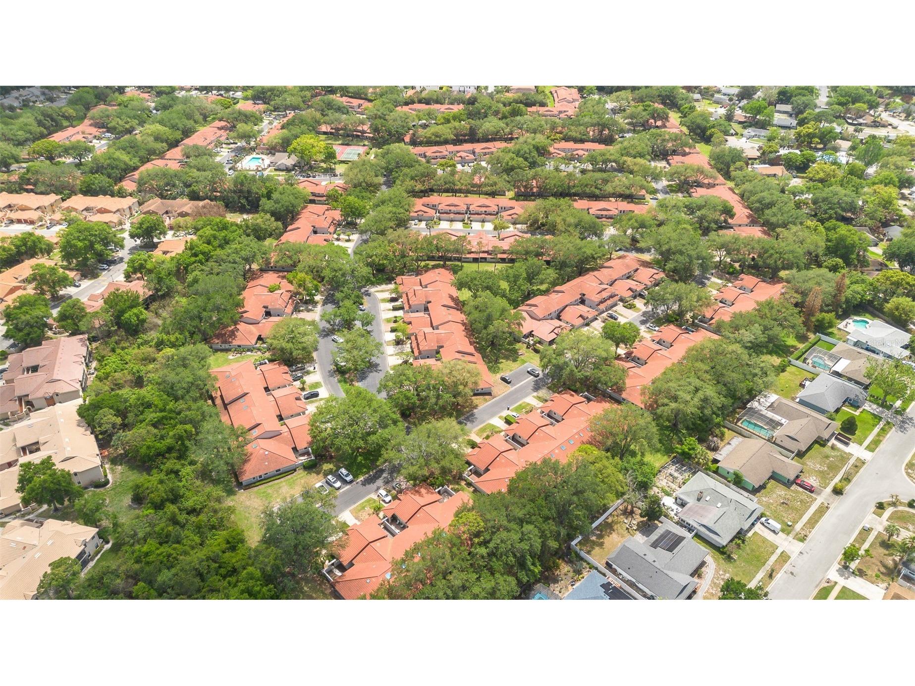 7516 Chapelhill Drive Orlando FL 32819 O6401260 image17
