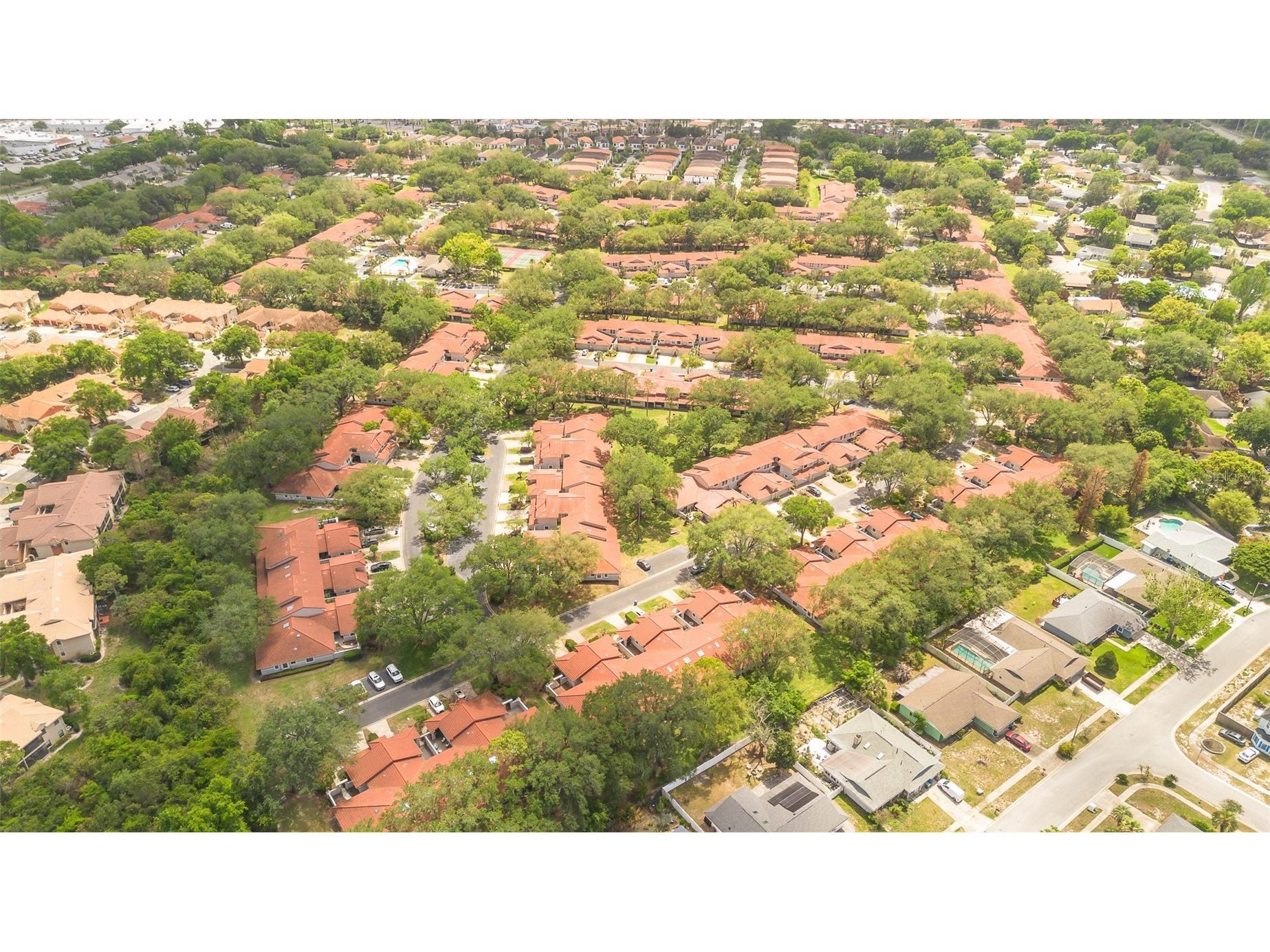 7516 Chapelhill Drive Orlando FL 32819 O6401260 image18