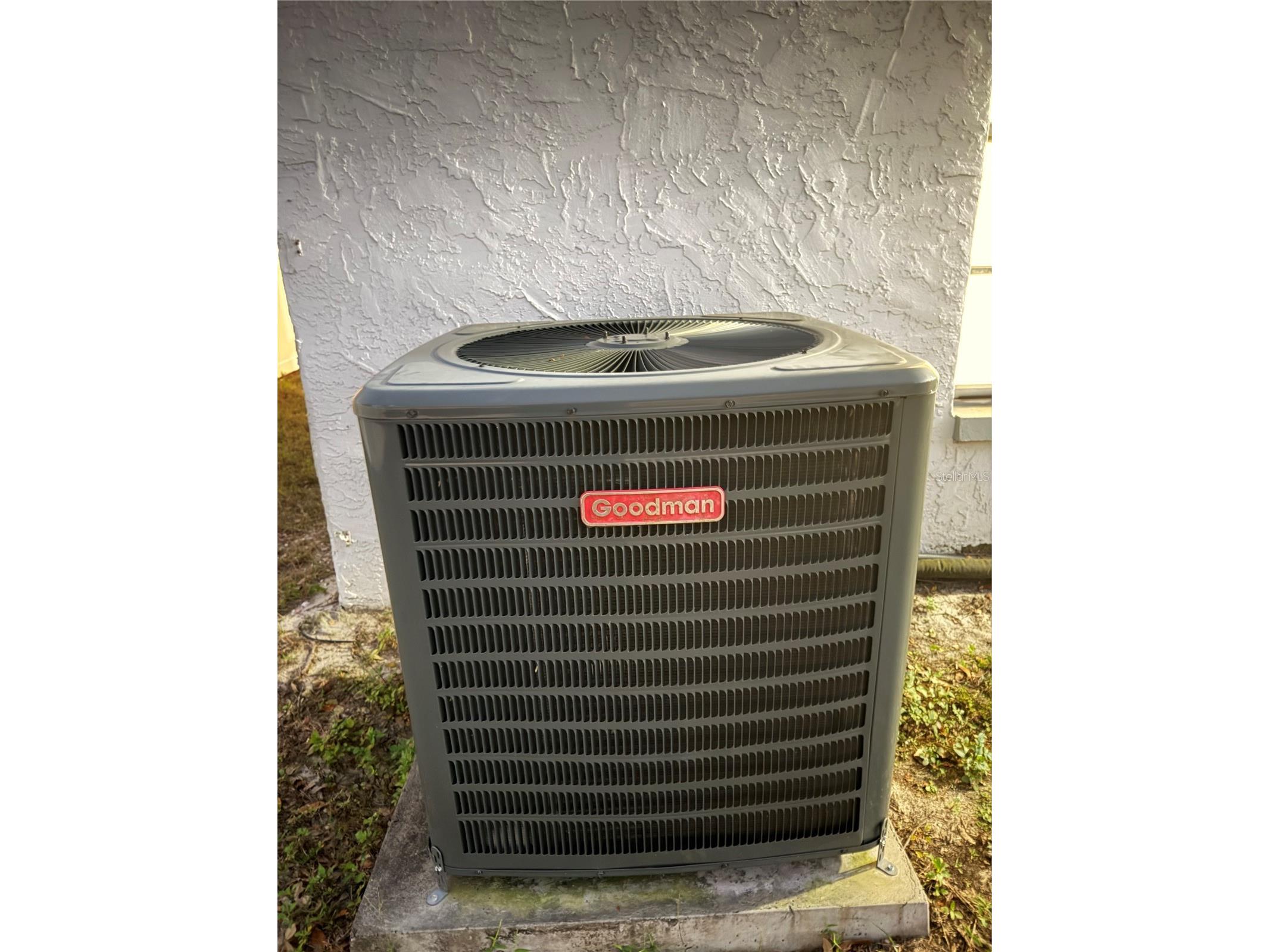 7516 S Sanibel Circle Temple Terrace FL 33637 TB8470558 image43