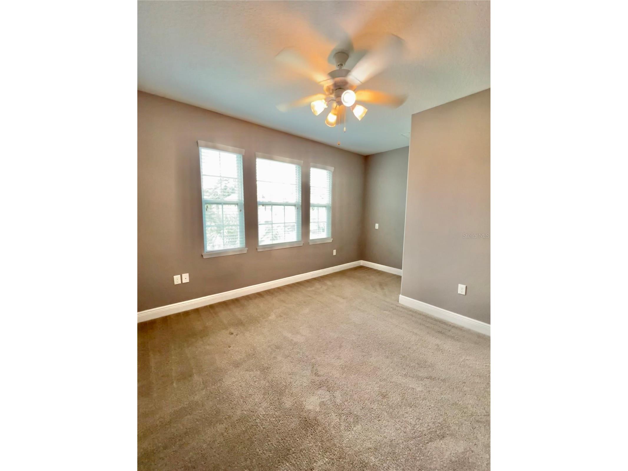 7516 S Trask Street Tampa FL 33616 TB8520225 image28