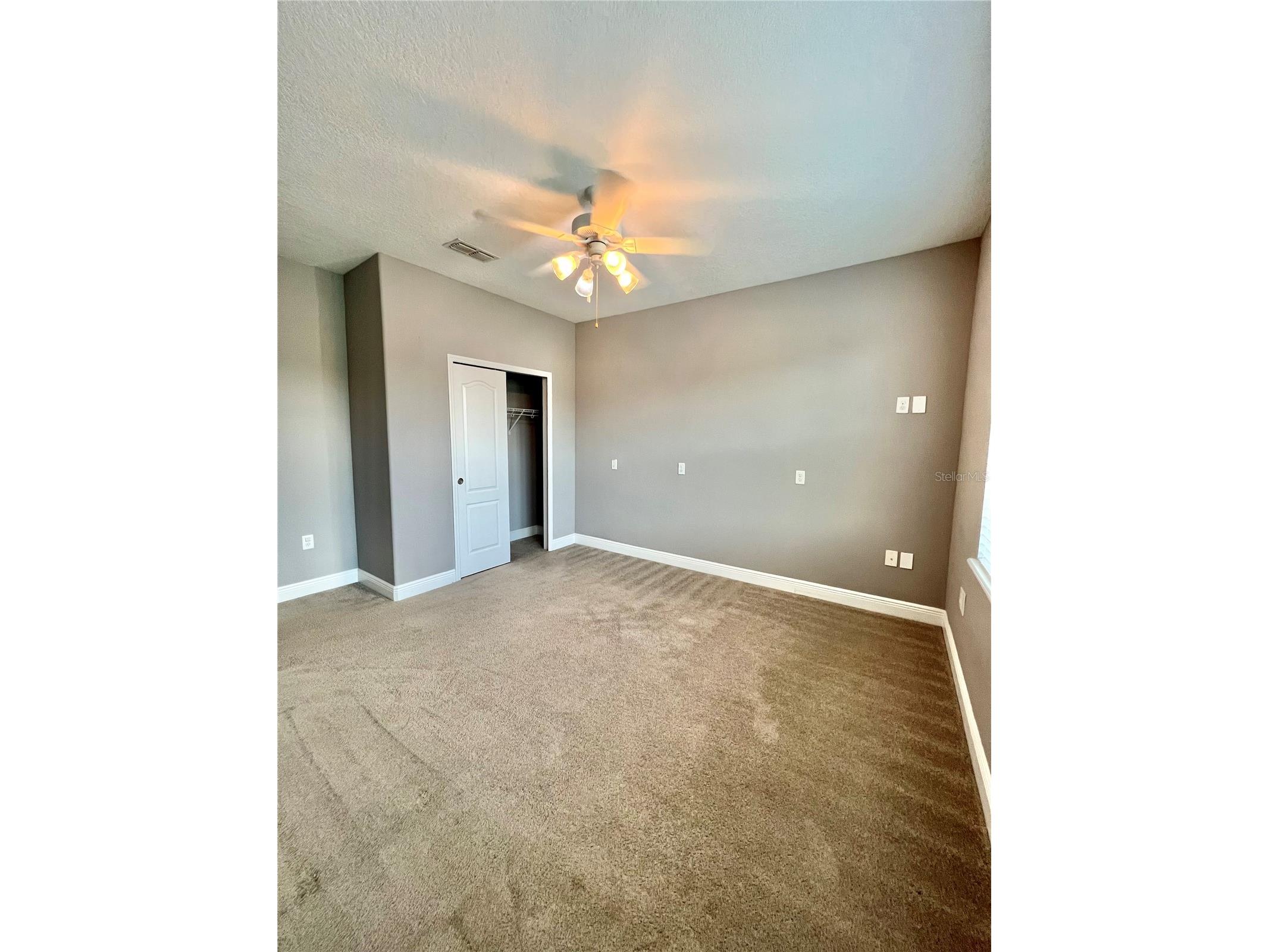 7516 S Trask Street Tampa FL 33616 TB8520225 image29