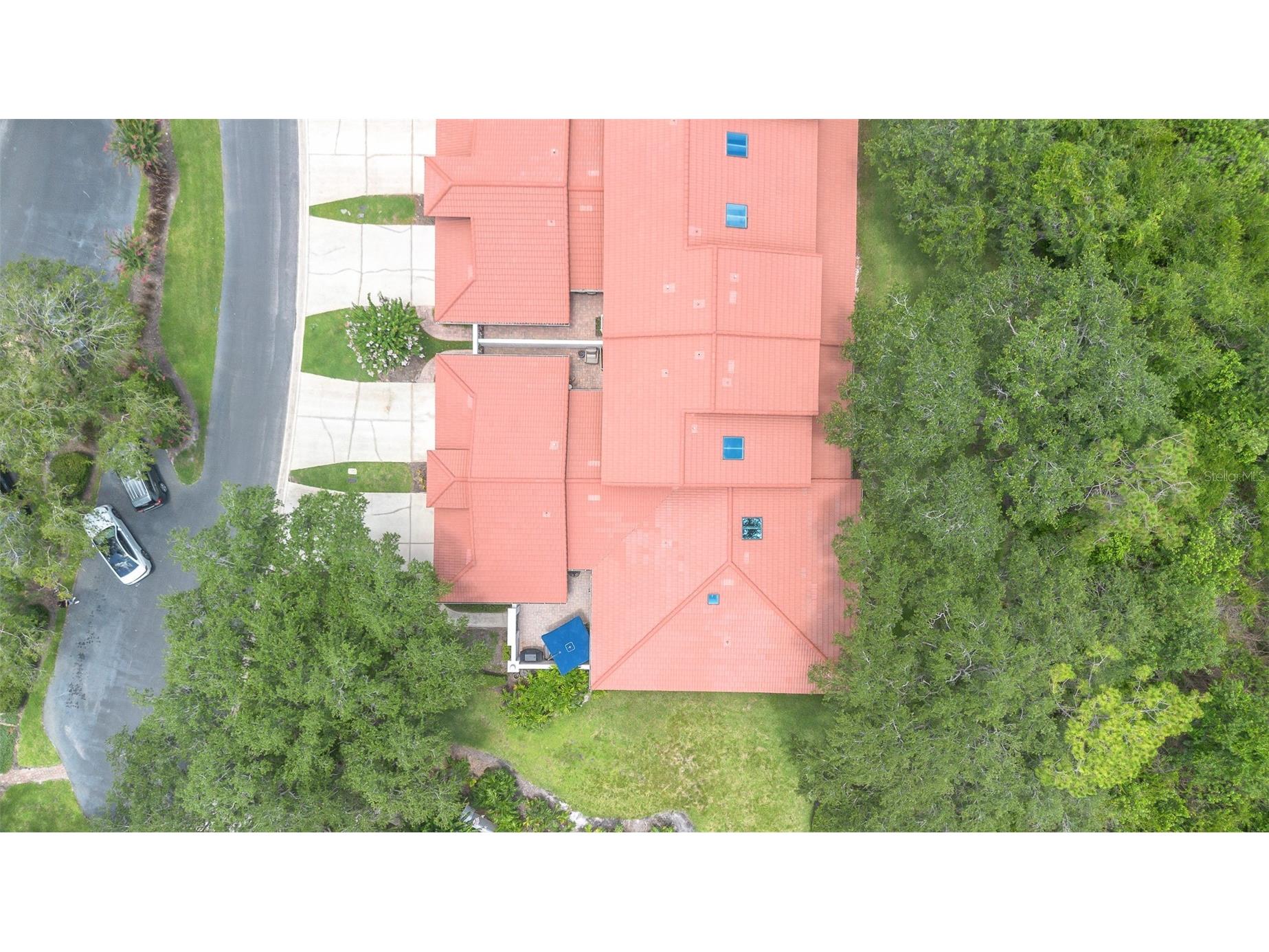 7517 Fenwick Cove Lane Orlando FL 32819 O6419830 image5