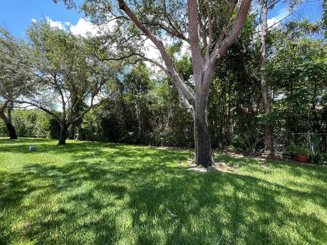 7517 Fenwick Cove Lane Orlando FL 32819 O6419830 image72