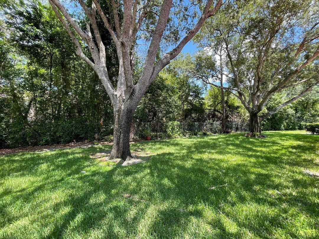 7517 Fenwick Cove Lane Orlando FL 32819 O6419830 image73