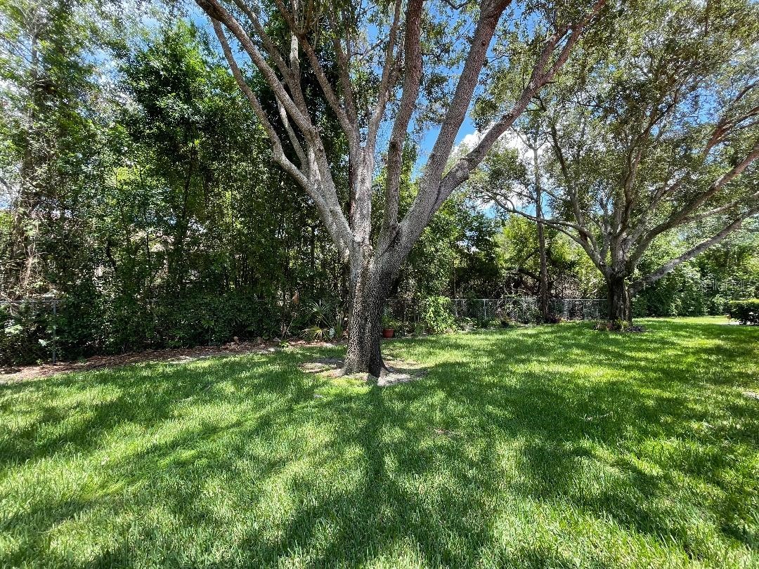 7517 Fenwick Cove Lane Orlando FL 32819 O6419830 image74