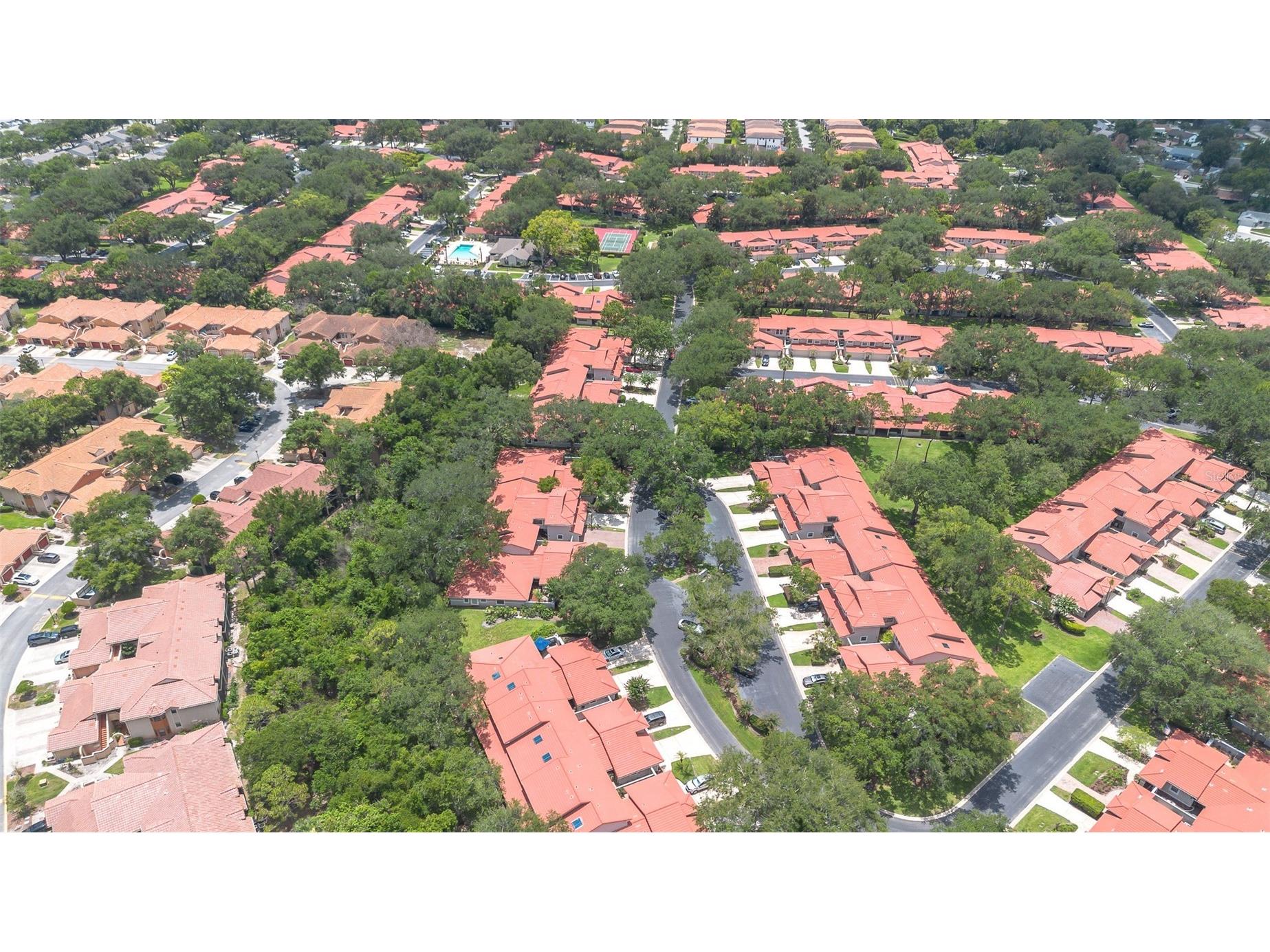 7517 Fenwick Cove Lane Orlando FL 32819 O6419830 image81