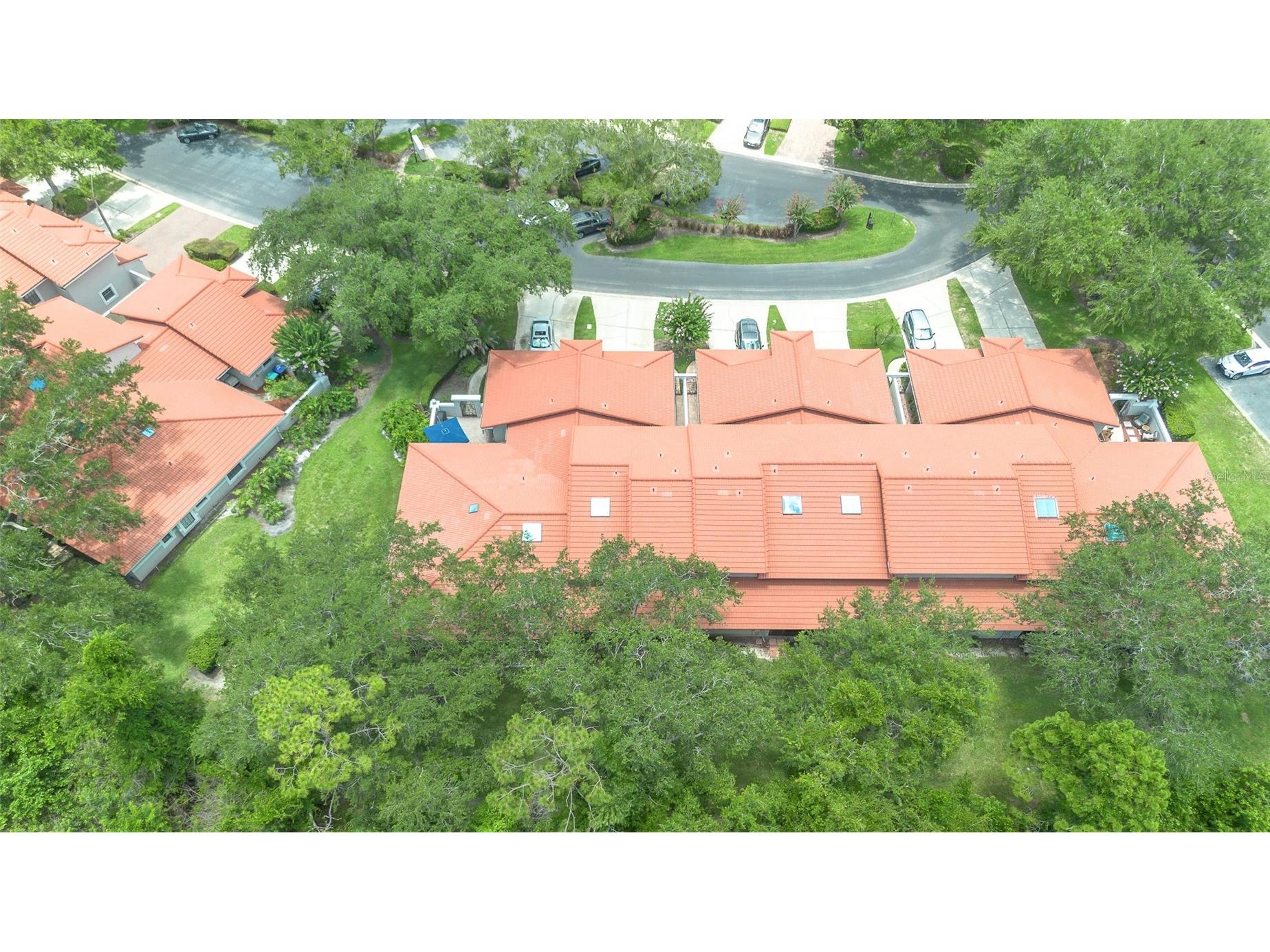 7517 Fenwick Cove Lane Orlando FL 32819 O6419830 image9