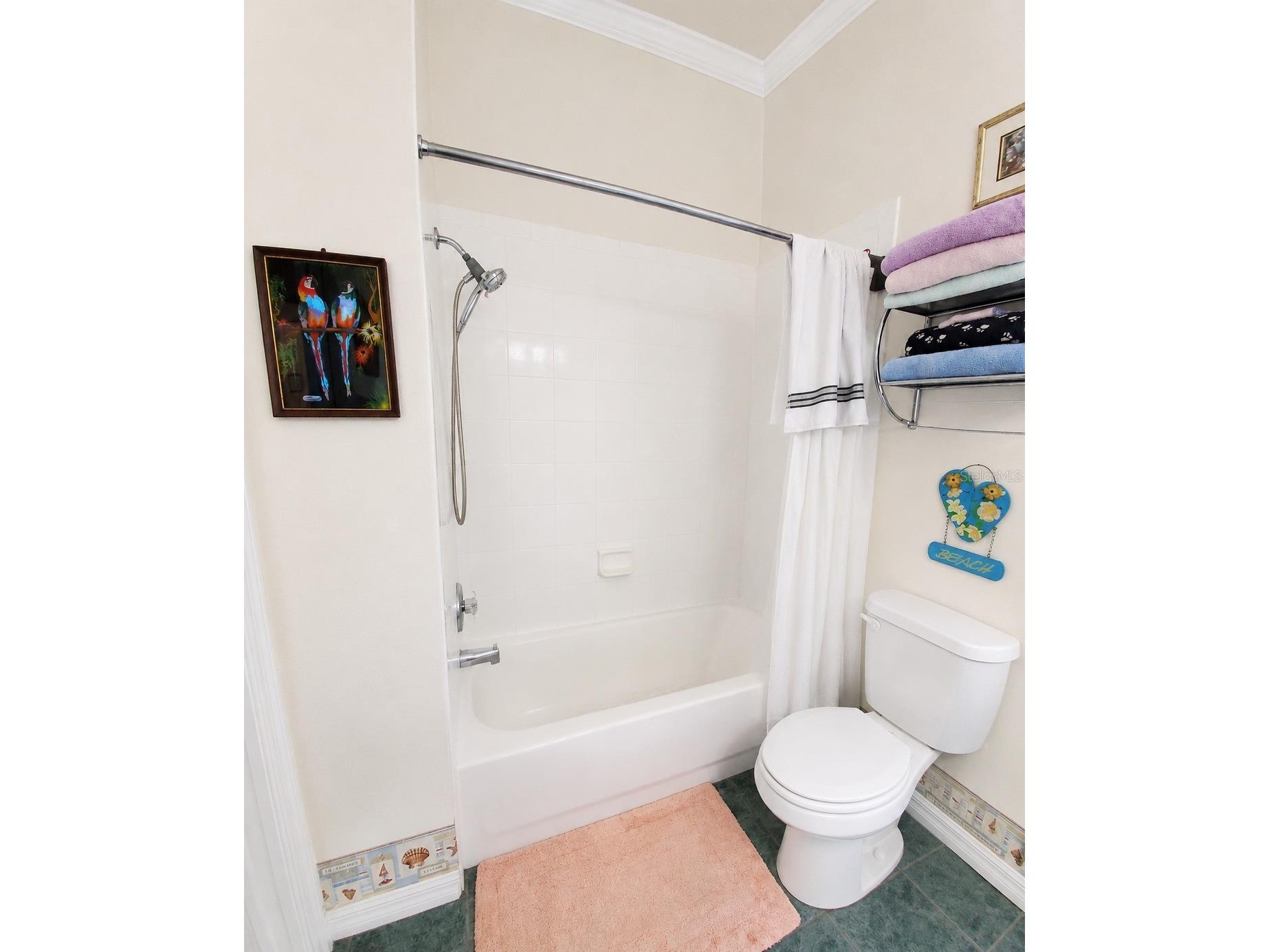 7517 Jomel Drive Weeki Wachee FL 34607 A4693702 image22