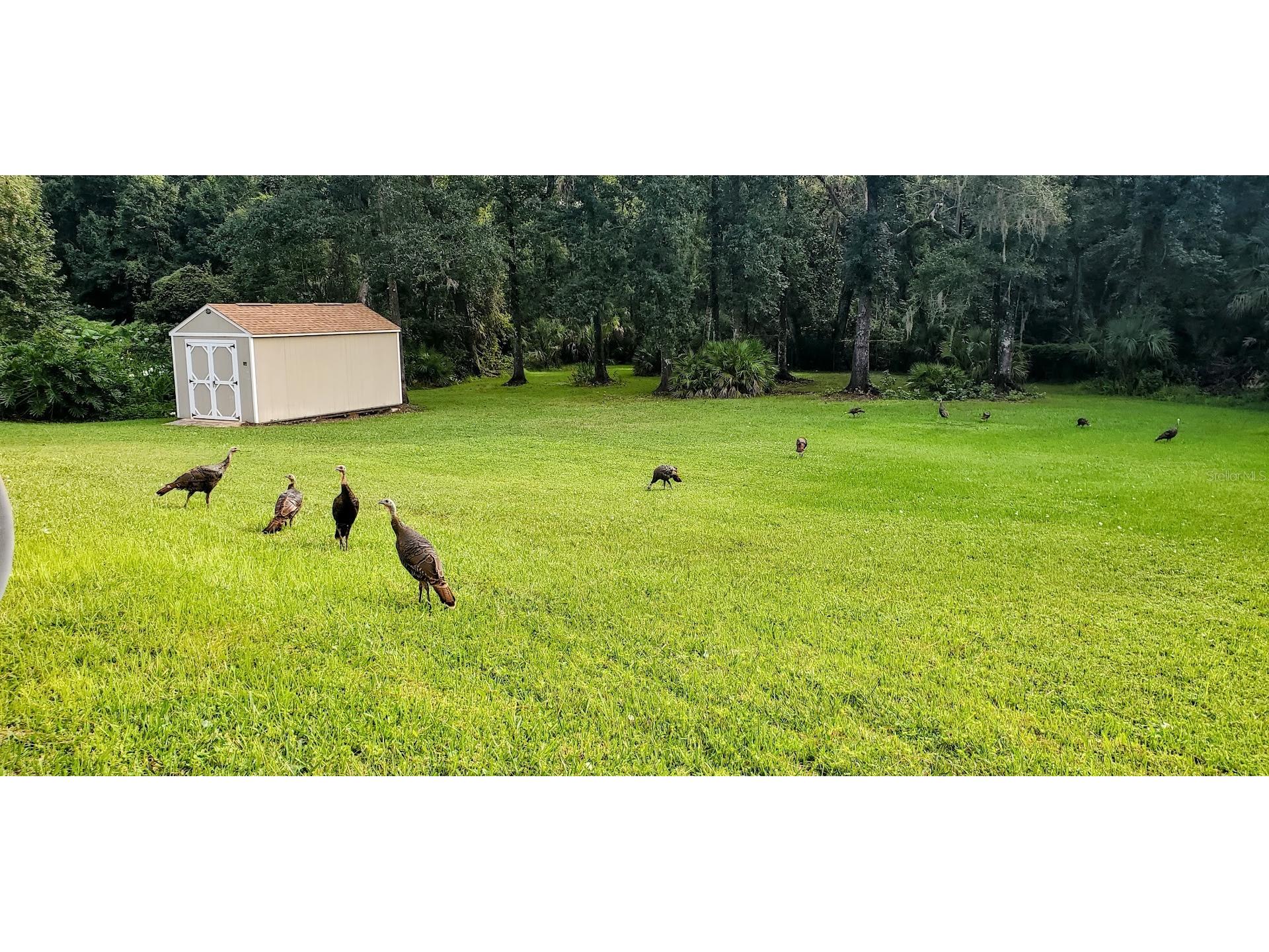 7517 Jomel Drive Weeki Wachee FL 34607 A4693702 image37
