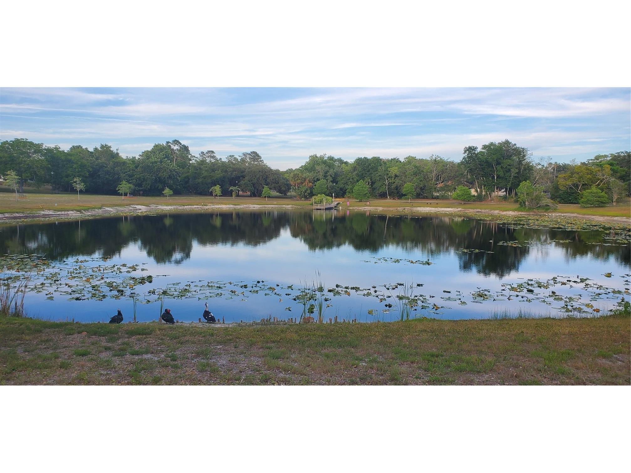 7517 Jomel Drive Weeki Wachee FL 34607 A4693702 image41