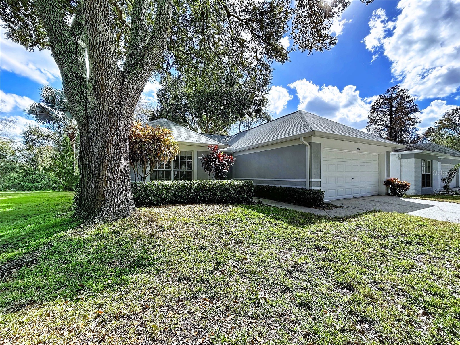 7517 Savannah Lane Tampa FL 33637 TB8463569 image1