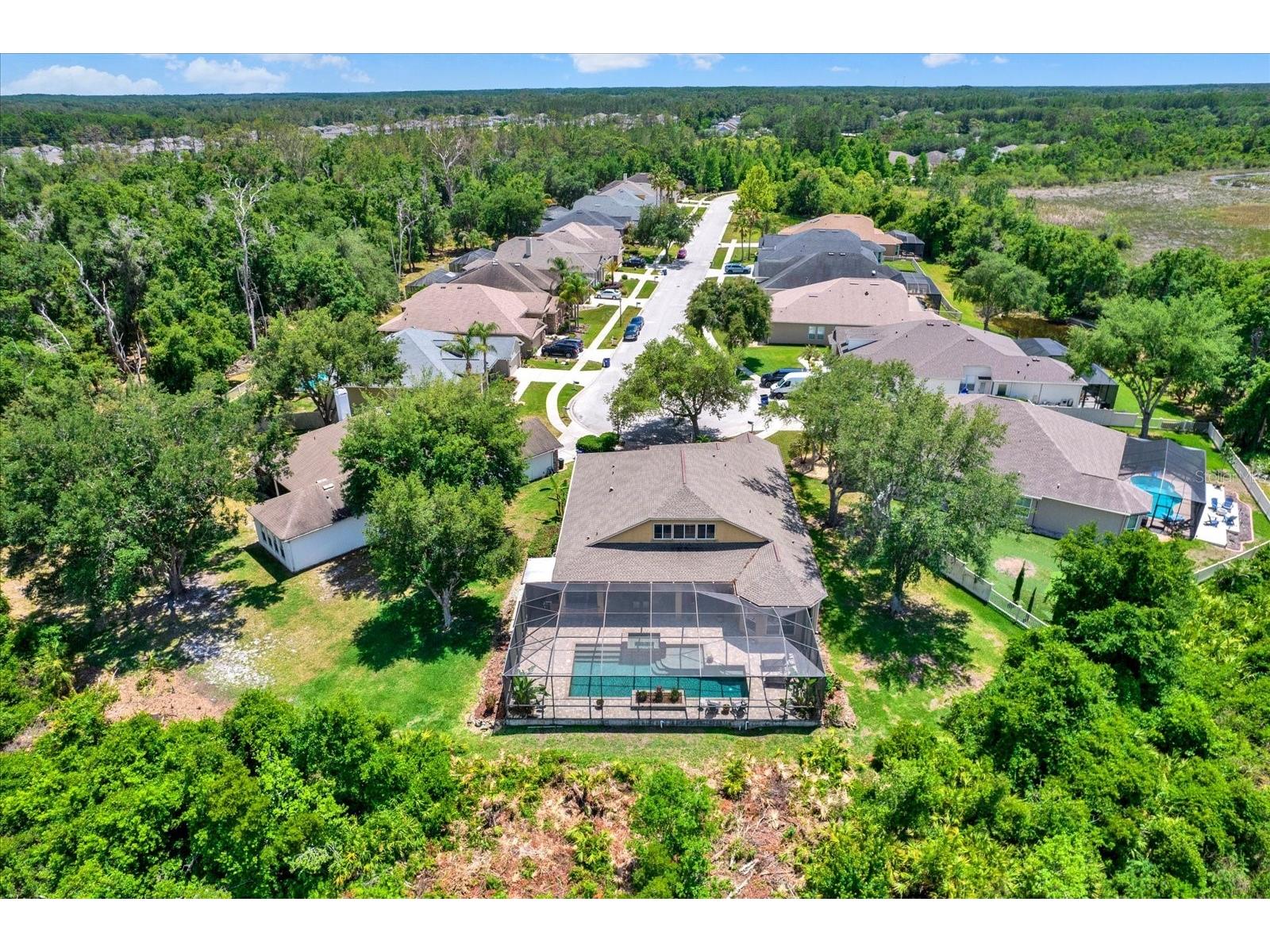 7518 Ambleside Drive Land O Lakes FL 34637 - BAY LAKE TB8508058 image3