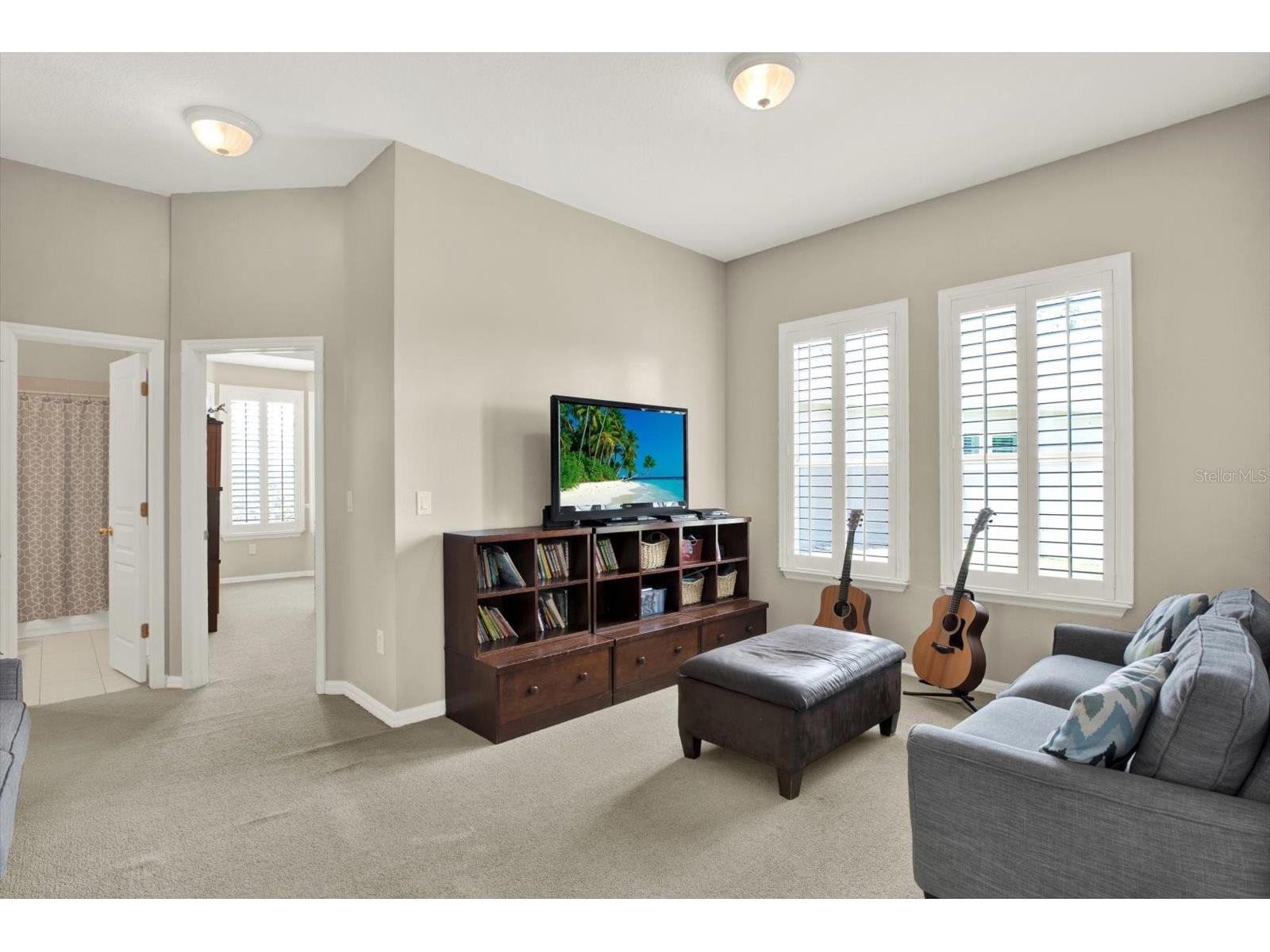 7518 Ambleside Drive Land O Lakes FL 34637 - BAY LAKE TB8508058 image39