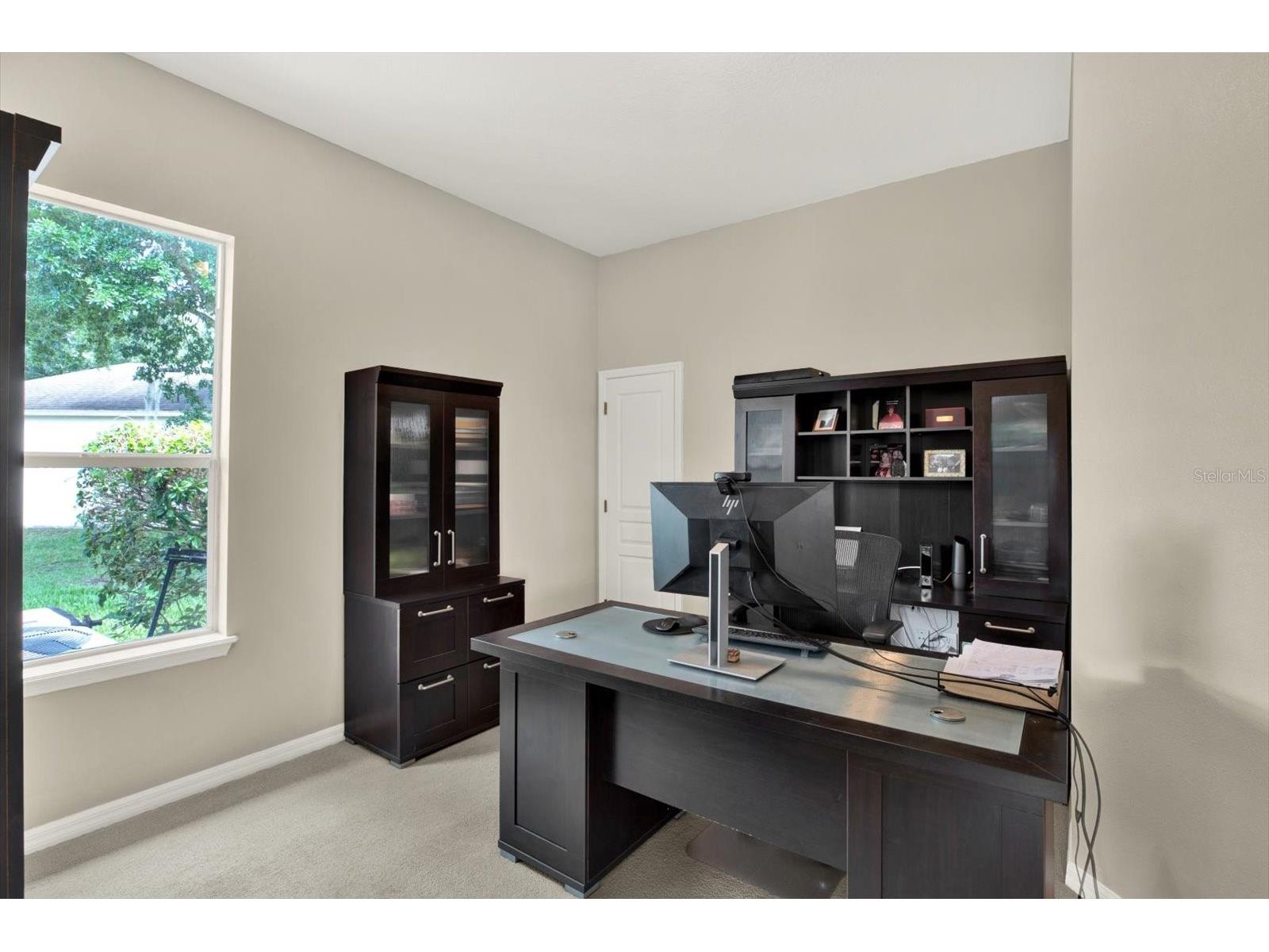 7518 Ambleside Drive Land O Lakes FL 34637 - BAY LAKE TB8508058 image46