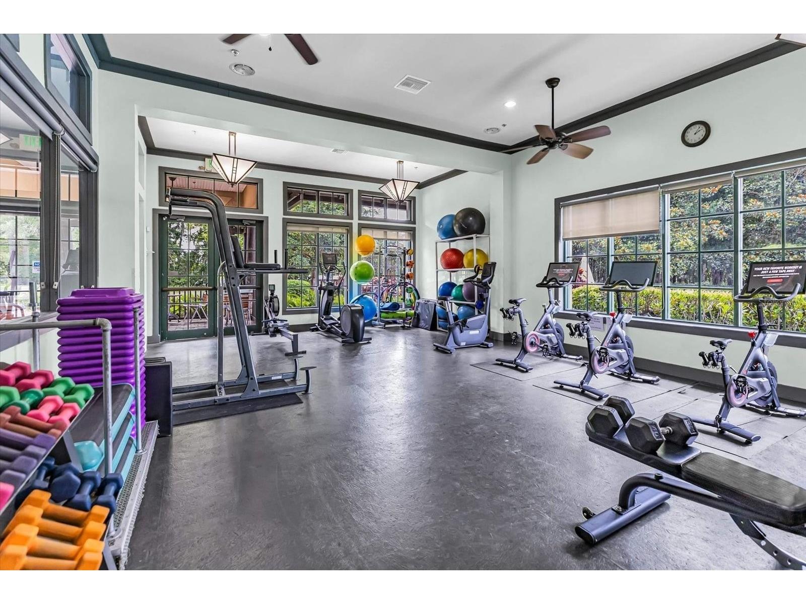 7518 Ambleside Drive Land O Lakes FL 34637 - BAY LAKE TB8508058 image69
