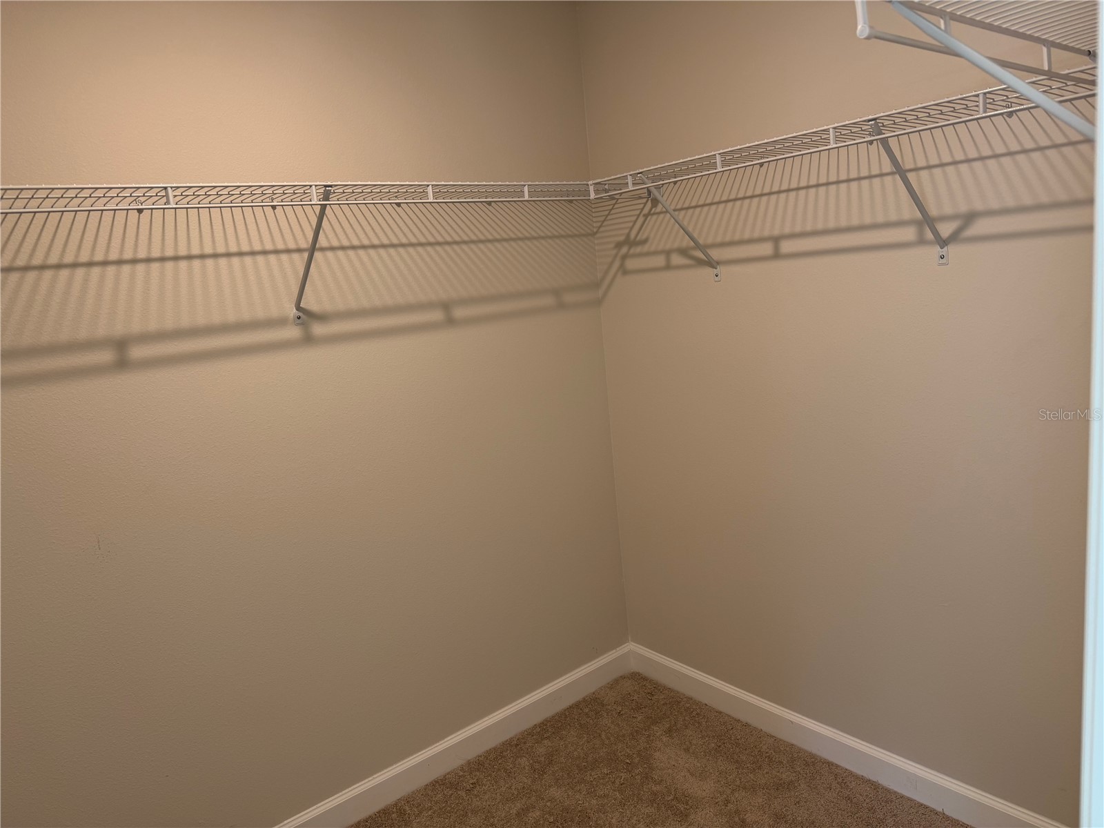 7518 Deer Valley Circle Tampa FL 33635 TB8501179 image14