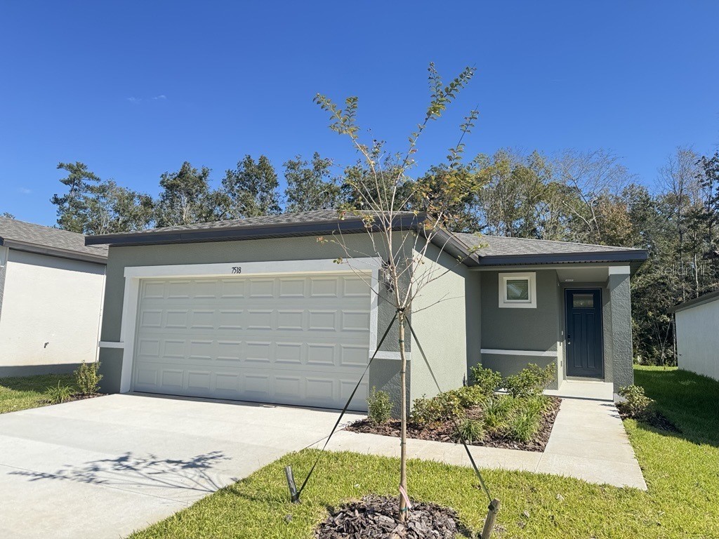7518 Mia Vine Drive Brooksville FL 34601 O6328979 image1