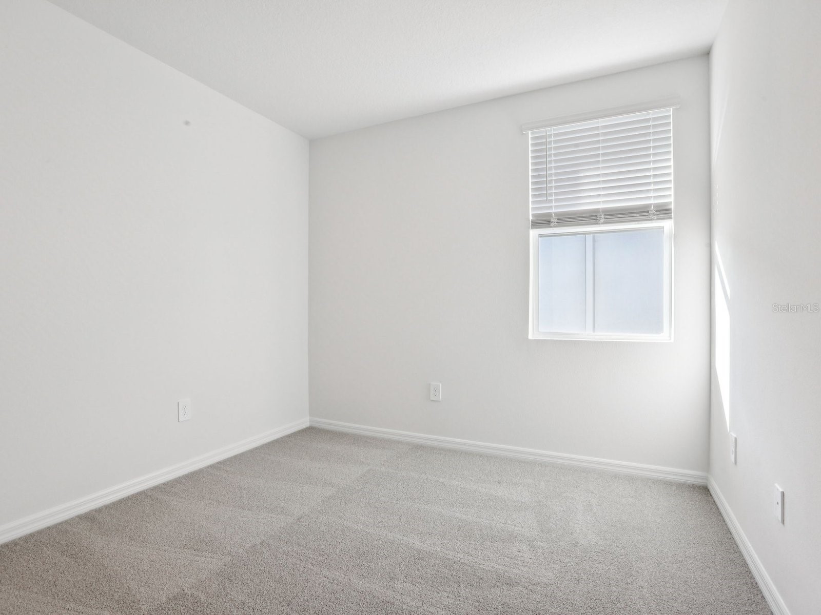 7518 Mia Vine Drive Brooksville FL 34601 O6328979 image9