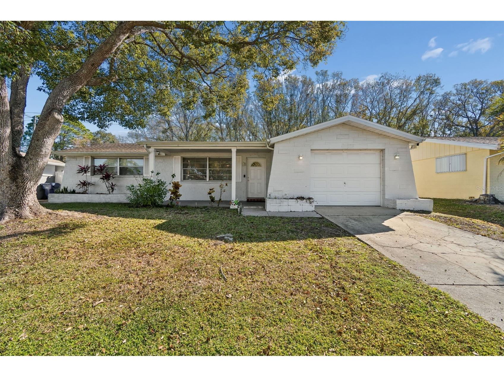 7518 Sequoia Drive New Port Richey FL 34653 W7882681 image1