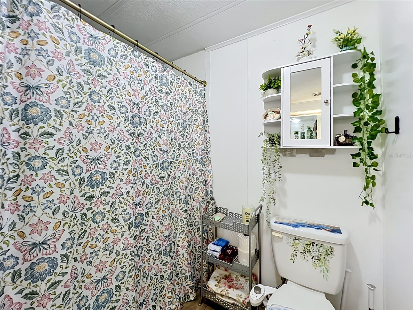 7519 Charlin Parkway Orlando FL 32822 O6412295 image20
