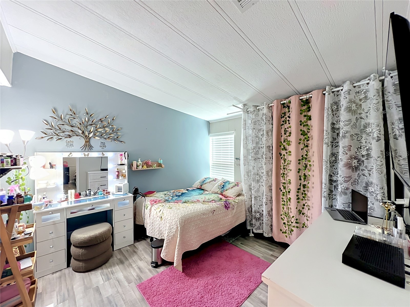 7519 Charlin Parkway Orlando FL 32822 O6412295 image28