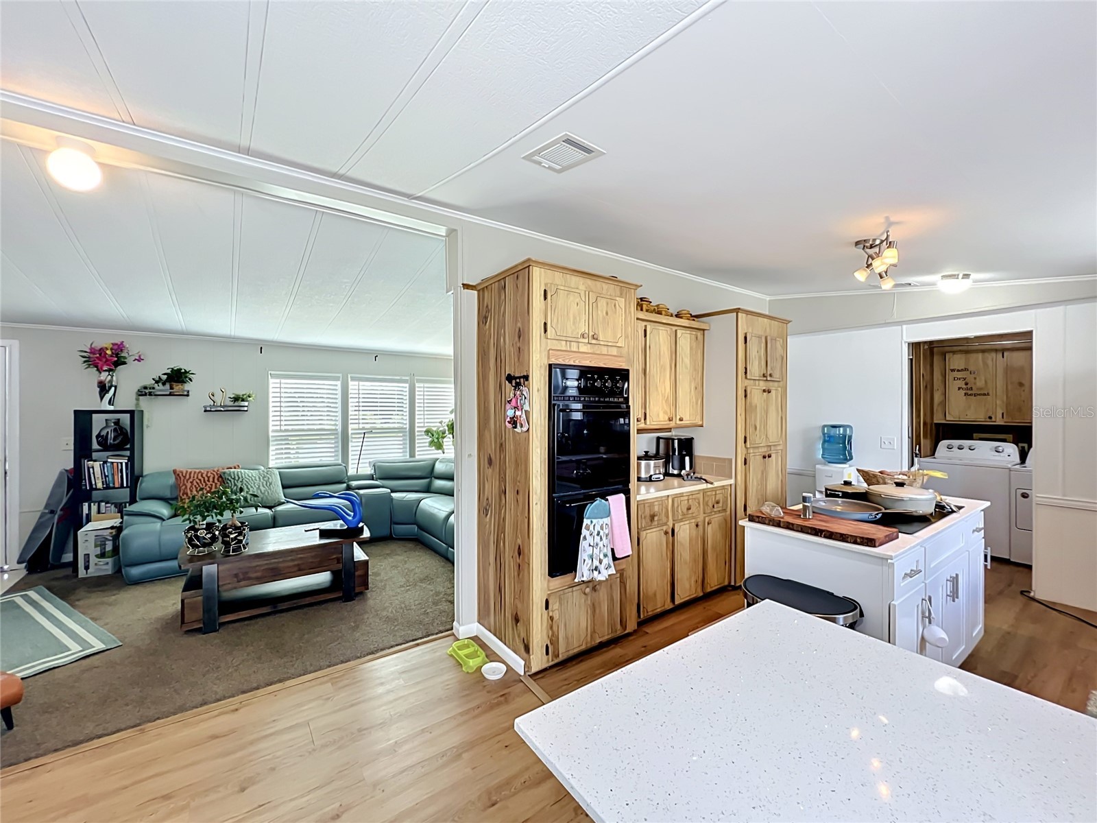 7519 Charlin Parkway Orlando FL 32822 O6412295 image37