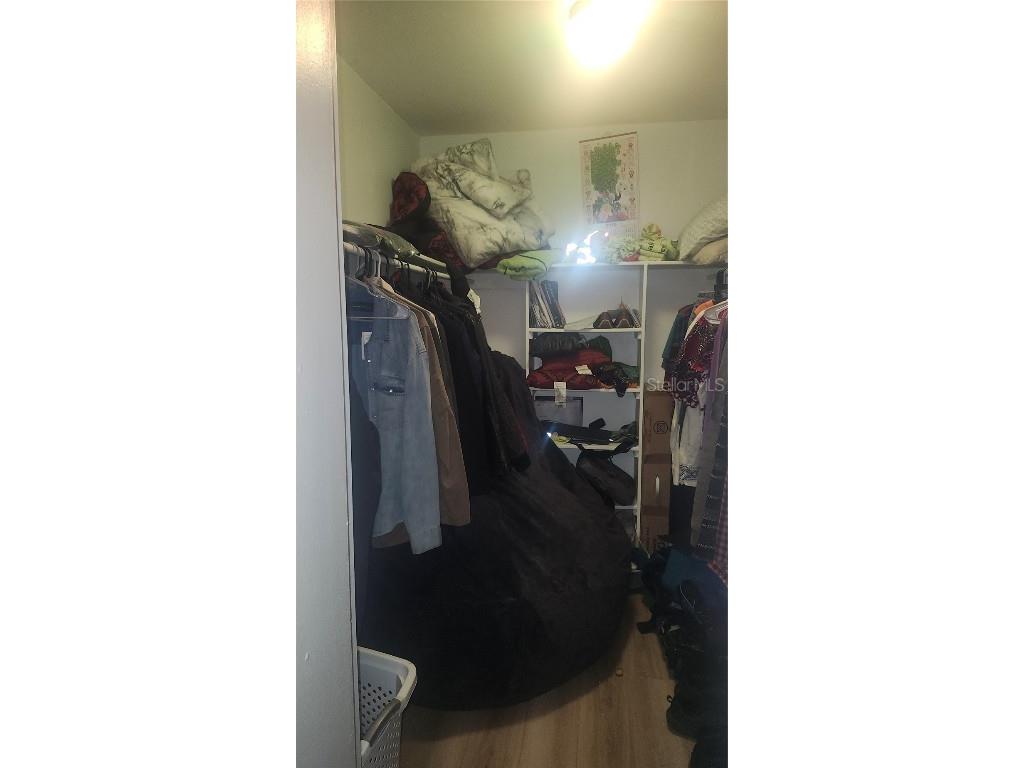 7519 Dolonita Drive #7519 Tampa FL 33615 TB8454397 image21